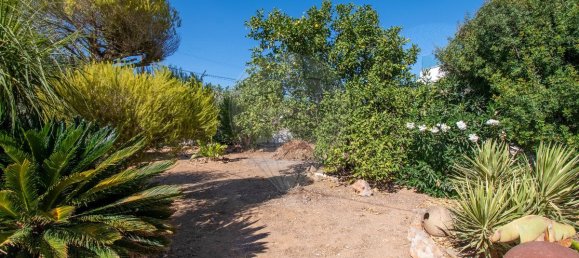 6 bedrooms House in Guia, Portugal No. 274121 28