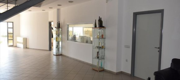 Недвижимость 800м² в Халкидики, Греция № 6055 13