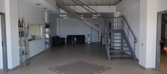 Недвижимость 800м² в Халкидики, Греция № 6055 7