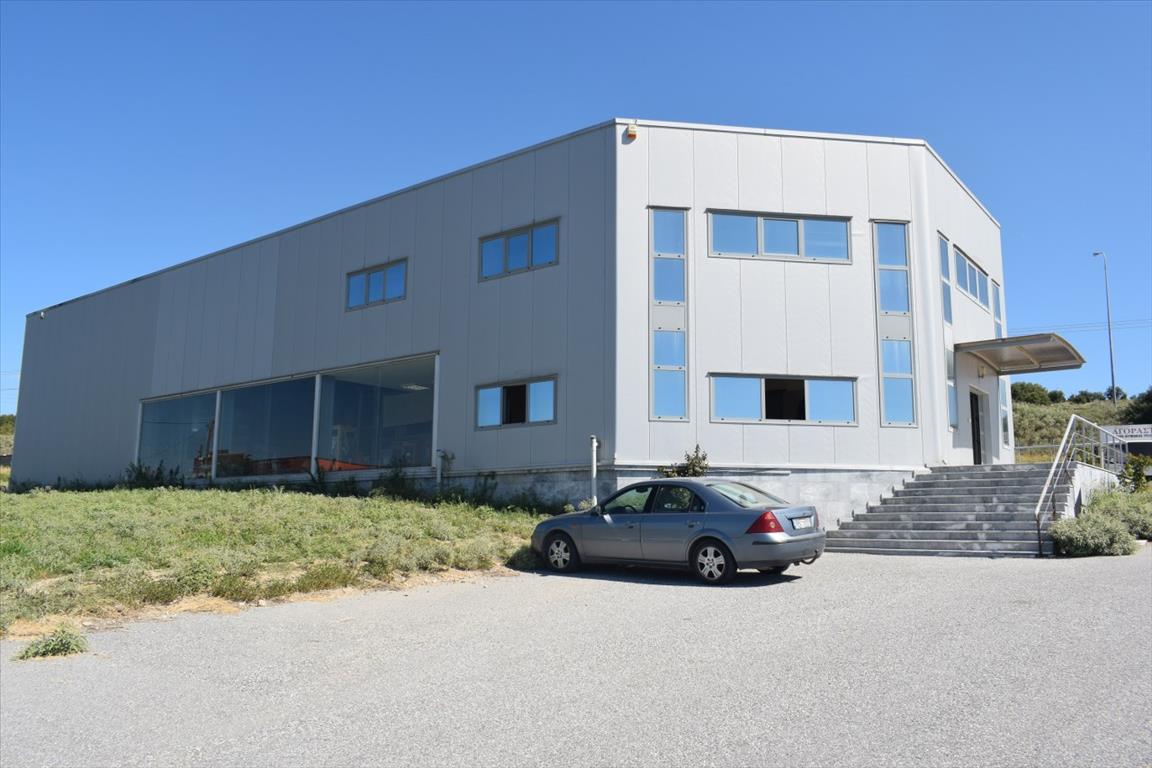 Недвижимость 800м² в Халкидики, Греция № 6055