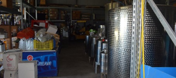 Недвижимость 800м² в Халкидики, Греция № 6055 18