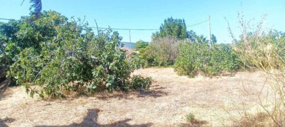 3 غرف نوم فيلا في Torricella, Italy رقم 309638 26