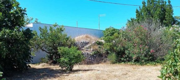 3 غرف نوم فيلا في Torricella, Italy رقم 309638 25