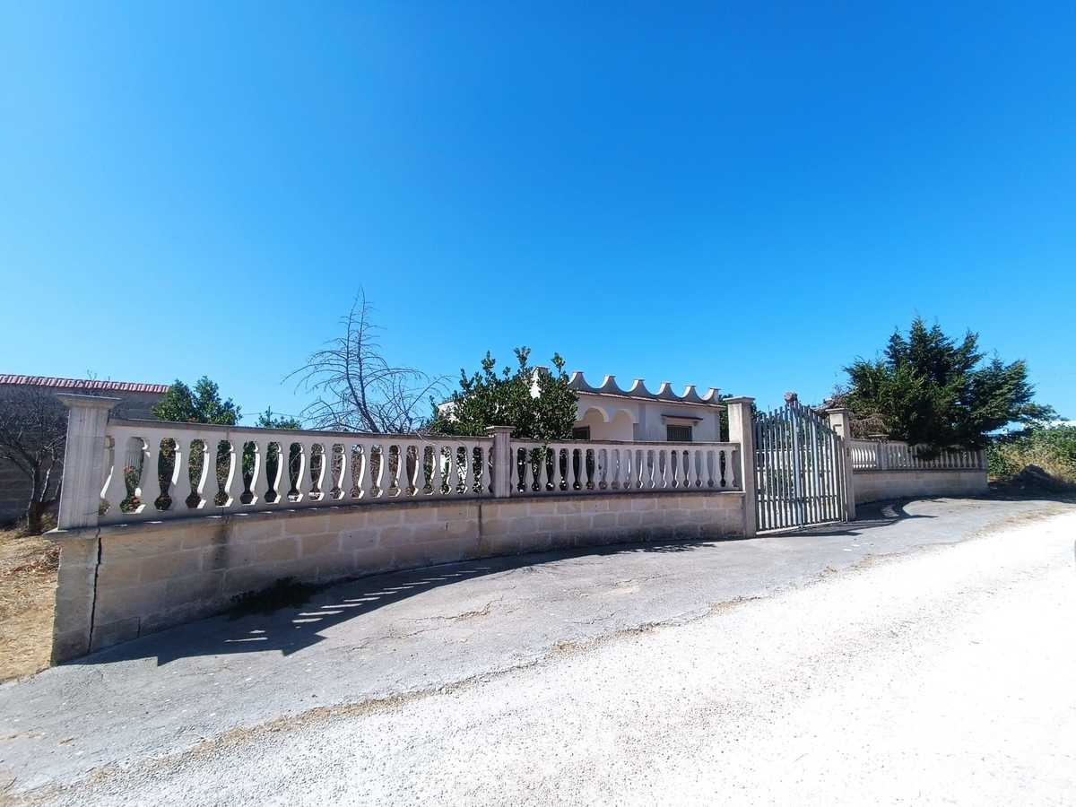 3 غرف نوم فيلا في Torricella, Italy رقم 309638