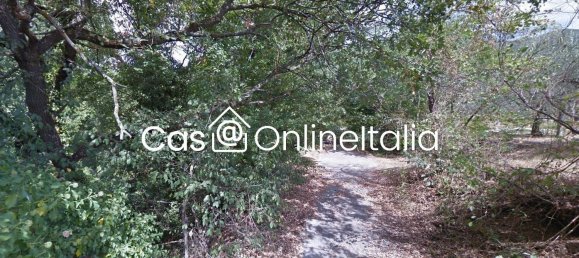 10غرفة شقة في Assisi, Italy رقم 50329 6