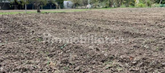 2000m² Land in Livorno, Italy No. 168989 18