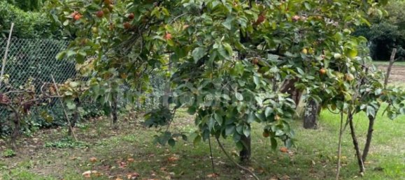 2000m² Land in Livorno, Italy No. 168989 14