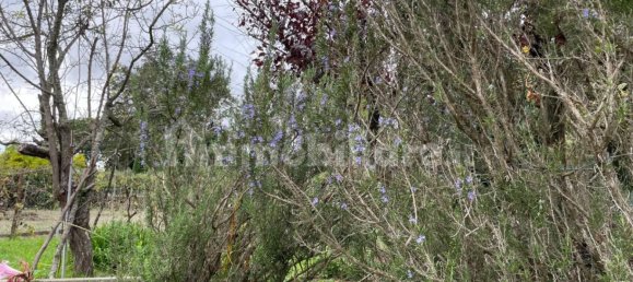 2000m² Land in Livorno, Italy No. 168989 16