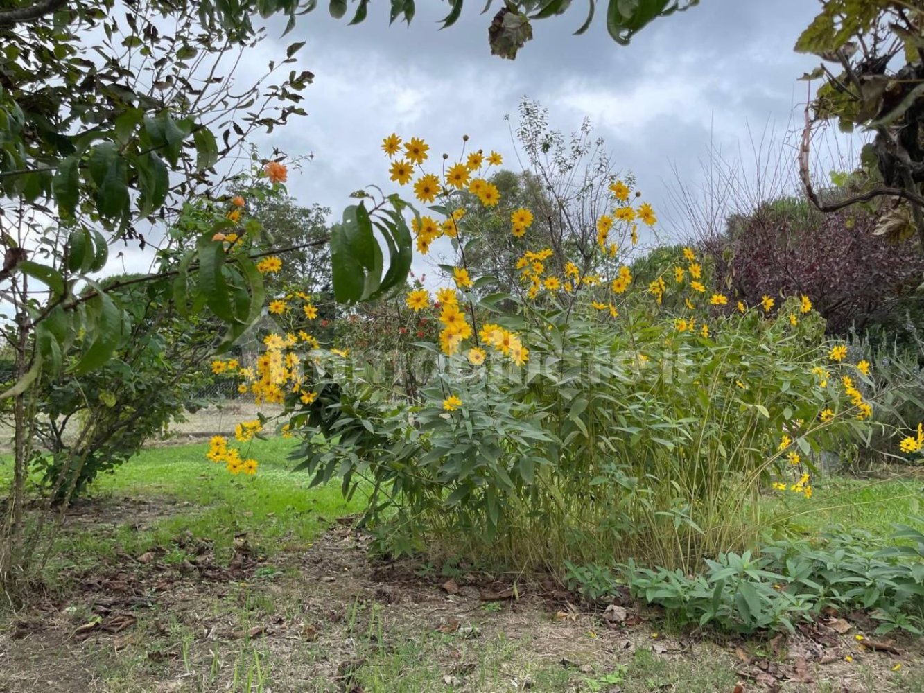 2000m² Land in Livorno, Italy No. 168989