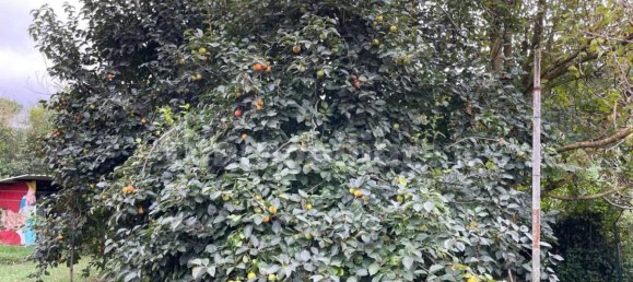 2000m² Land in Livorno, Italy No. 168989 2