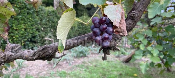 2000m² Land in Livorno, Italy No. 168989 11