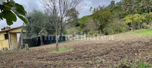 2000m² Land in Livorno, Italy No. 168989 6