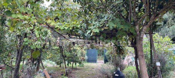 2000m² Land in Livorno, Italy No. 168989 15