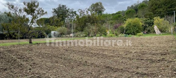 2000m² Land in Livorno, Italy No. 168989 4