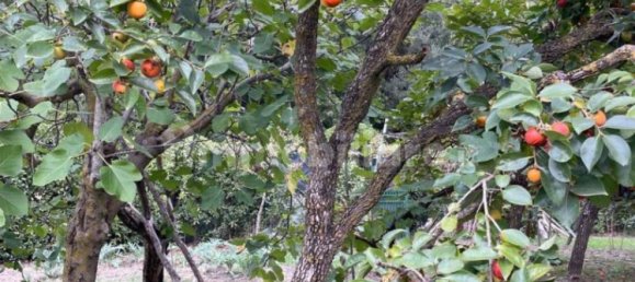 2000m² Land in Livorno, Italy No. 168989 13