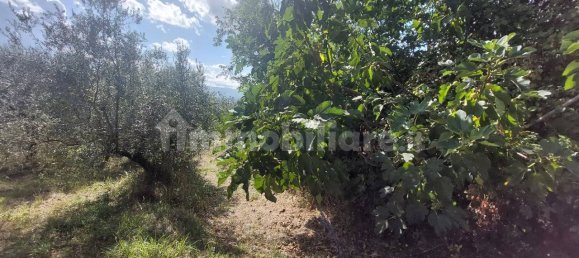 Земельный участок 34м² в Кастельфранко Пьяндиско, Италия № 370667 11