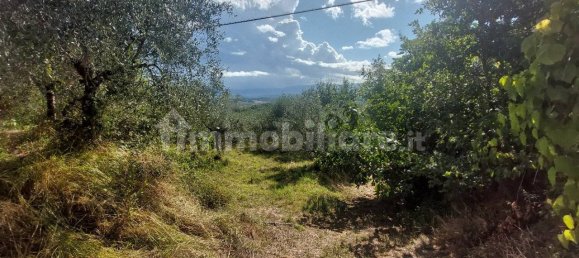 Земельный участок 34м² в Кастельфранко Пьяндиско, Италия № 370667 10