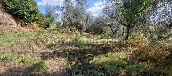 Земельный участок 34м² в Кастельфранко Пьяндиско, Италия № 370667 9