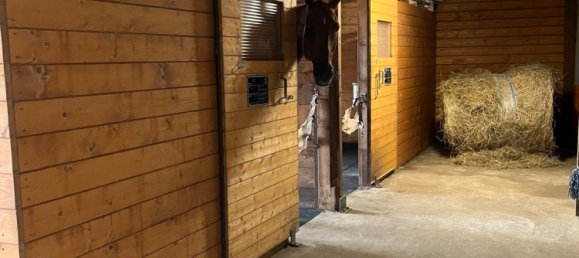 4 غرف نوم مزرعة في Luchow-Dannenberg, Germany رقم 340617 16