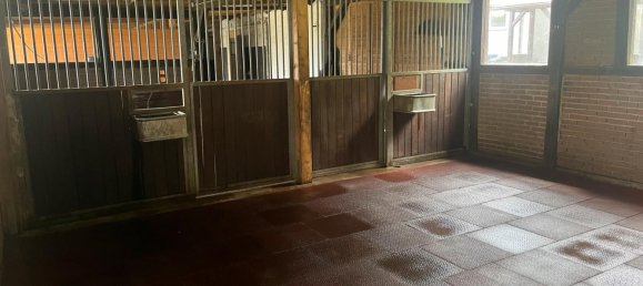 4 غرف نوم مزرعة في Luchow-Dannenberg, Germany رقم 340617 18