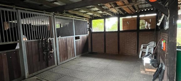 4 غرف نوم مزرعة في Luchow-Dannenberg, Germany رقم 340617 17