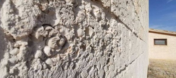 8 bedrooms Villa in Noicattaro, Italy No. 209323 13