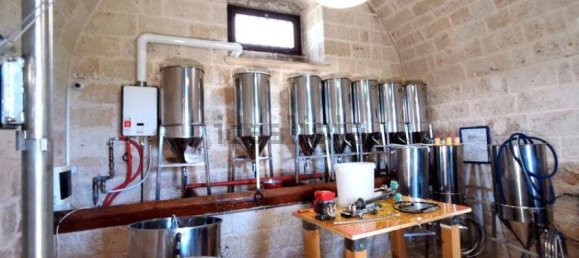 8 bedrooms Villa in Noicattaro, Italy No. 209323 21