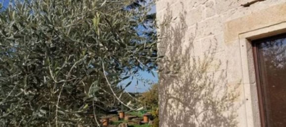 8 bedrooms Villa in Noicattaro, Italy No. 209323 15