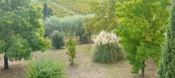 4 Schlafzimmer Wohnung in San Miniato, Italy, Nr. 329907 22