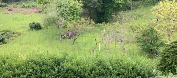 Terrain à Trier-Saarburg, Germany No. 305046 9