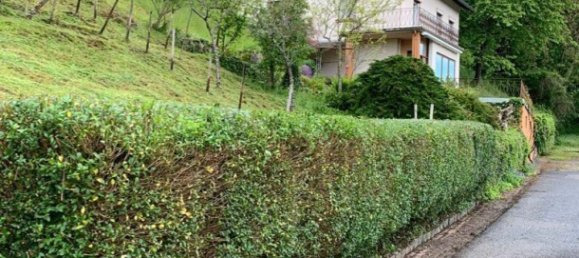 Terrain à Trier-Saarburg, Germany No. 305046 10