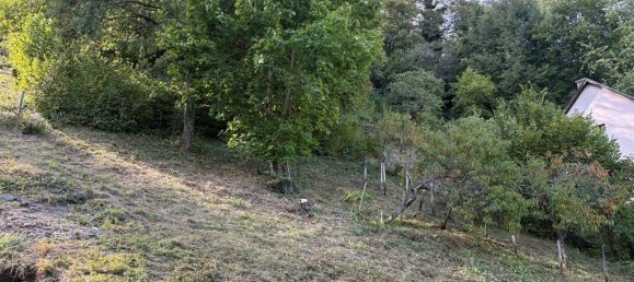 Terrain à Trier-Saarburg, Germany No. 305046 2