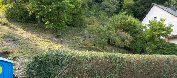 Terrain à Trier-Saarburg, Germany No. 305046 5