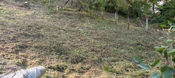 Terrain à Trier-Saarburg, Germany No. 305046 4