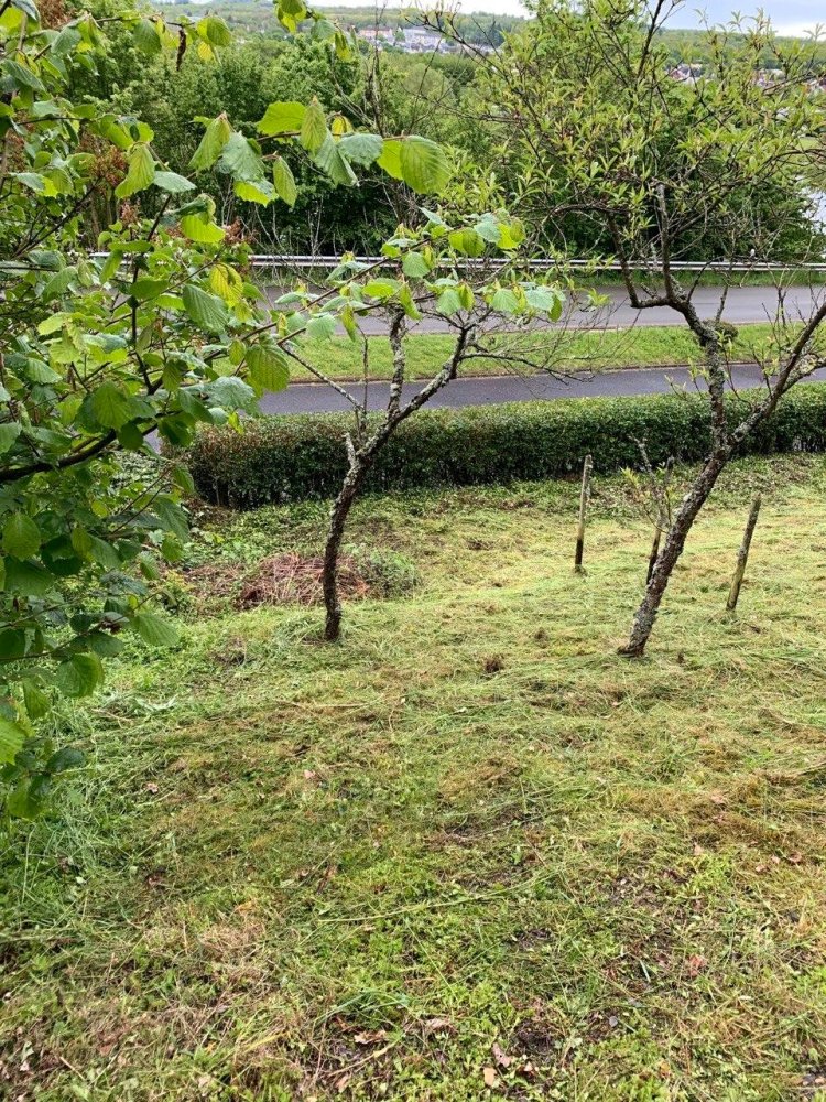 Terrain à Trier-Saarburg, Germany No. 305046