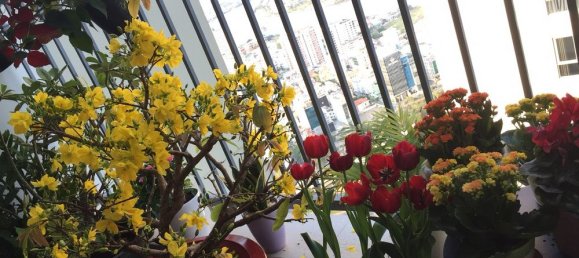 2 bedrooms Apartment in Binh Thanh, Vietnam No. 17704 8