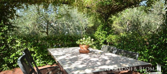 10 rooms Villa in Castiglione del Lago, Italy No. 57848 17