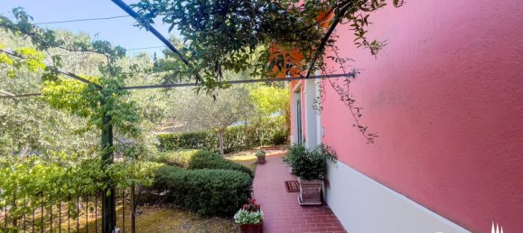10 rooms Villa in Castiglione del Lago, Italy No. 57848 14