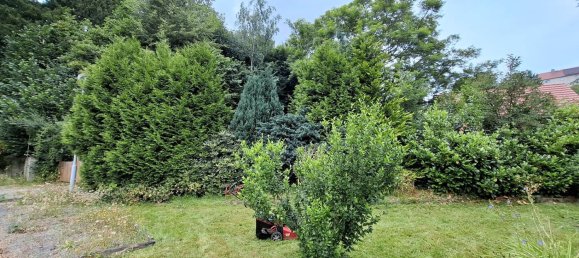 3 Schlafzimmer Haus in Görlitz, Germany, Nr. 219464 5