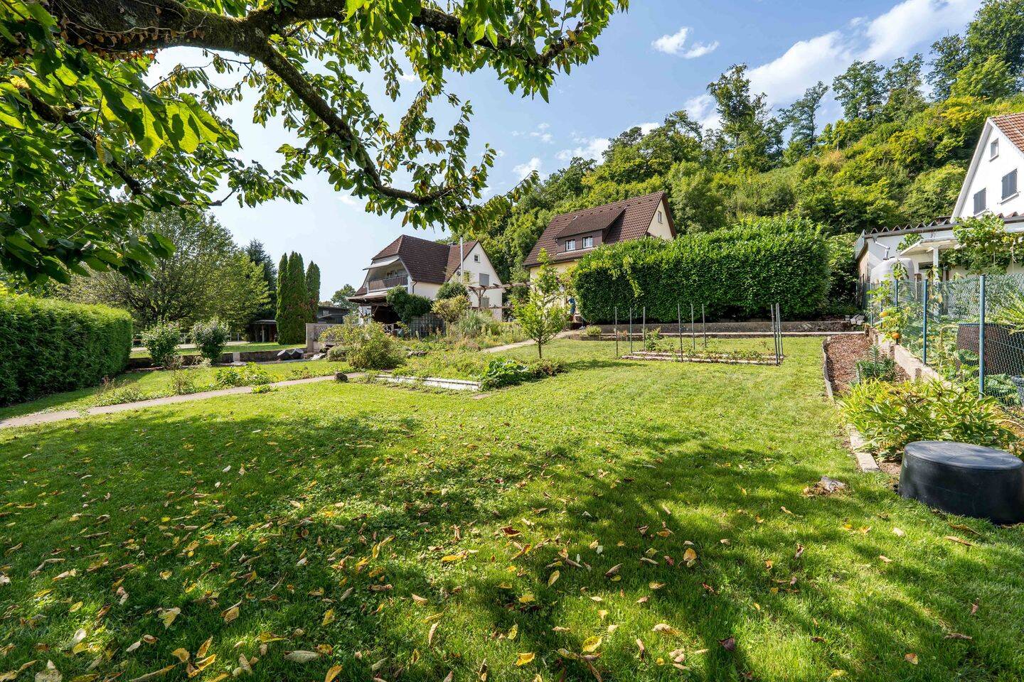 5 bedrooms House in Waldshut, Germany No. 315576