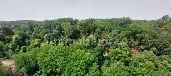 3 bedrooms Apartment in Barbarano Romano, Italy No. 141418 18