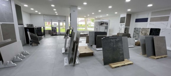 Propriété commerciale à Neumunster, Germany 392m² No. 35685 8