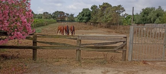 Земельный участок 50000м² в Сассари, Италия № 256212 2