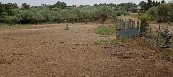 Земельный участок 50000м² в Сассари, Италия № 256212 4