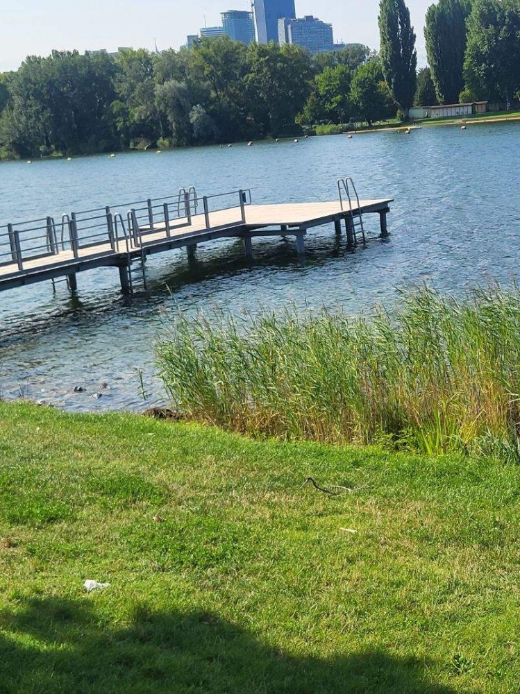 2 rooms Apartment in Vienna, Austria No. 55560