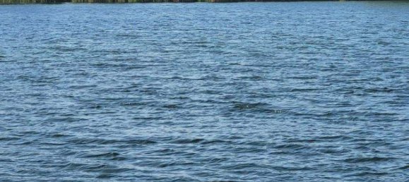 2 rooms Apartment in Vienna, Austria No. 55560 18