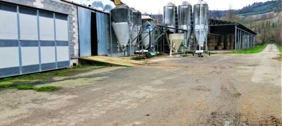 استوديو في Umbertide, Italy رقم 89317 6