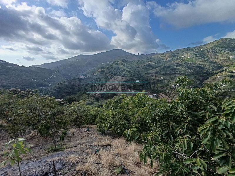 13500m² Land in Sayalonga, Spain No. 226891