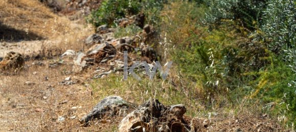 2055m² Land in Loule, Portugal No. 37655 8