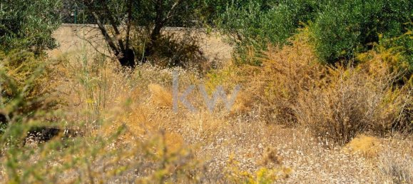 2055m² Land in Loule, Portugal No. 37655 7